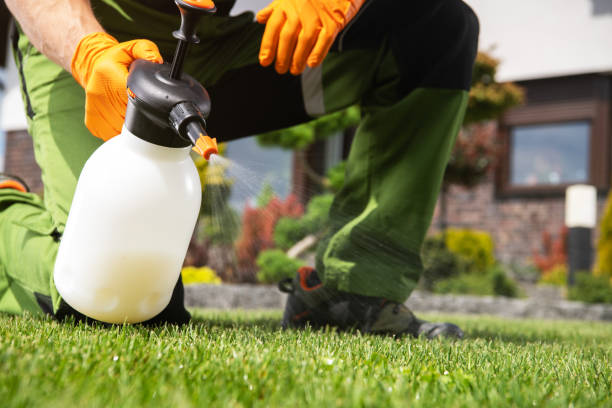 Best Flea Control Services  in Uniondale, NY