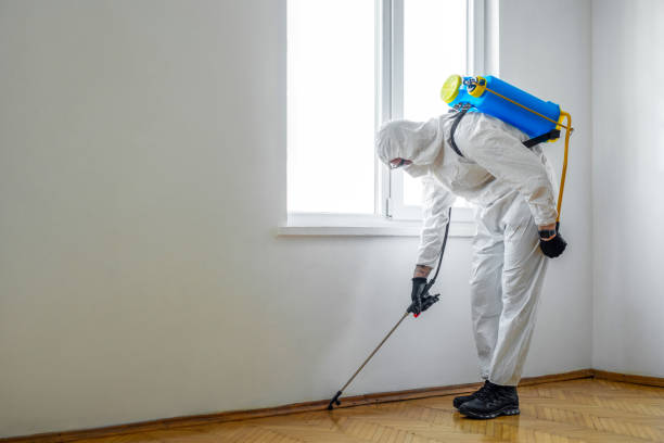 Best Rat Extermination Near Me  in Uniondale, NY