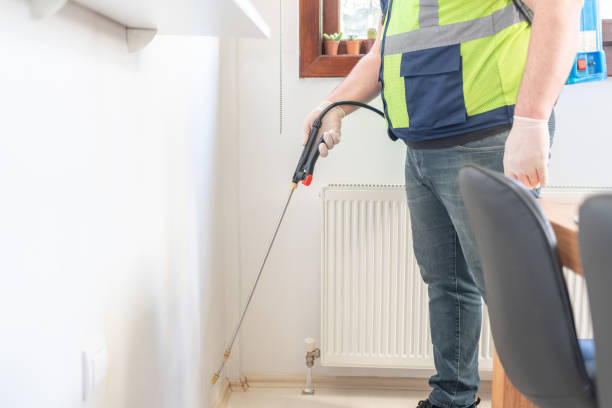 Best Termite Control Services  in Uniondale, NY