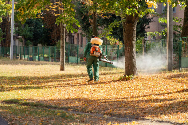 Best Insect Control  in Uniondale, NY