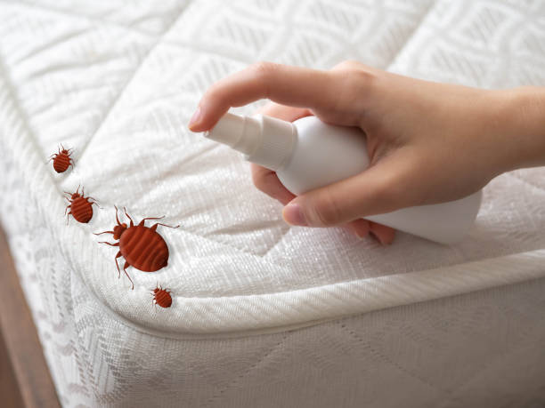 Best Best Pest Control Companies  in Uniondale, NY