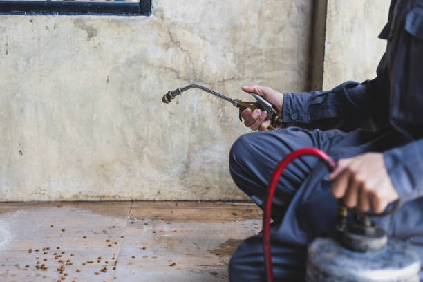 Best Commercial Pest Control Services  in Uniondale, NY